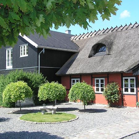 Lolland Bed & Breakfast Sollested  Zewnętrze zdjęcie